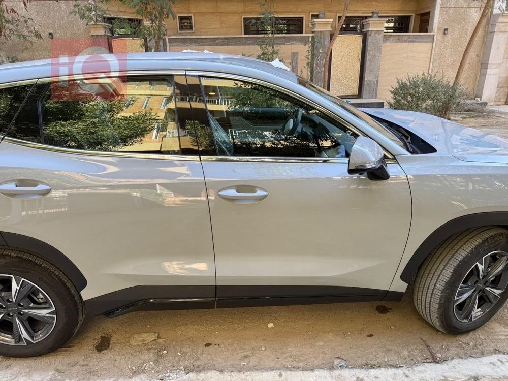 جيتور داشينج